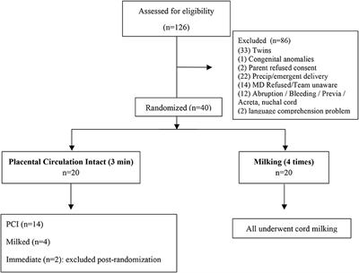 Placental Circulation Intact Trial (PCI-T)—Resuscitation With the Placental Circulation Intact vs. Cord Milking for Very Preterm Infants: A Feasibility Study